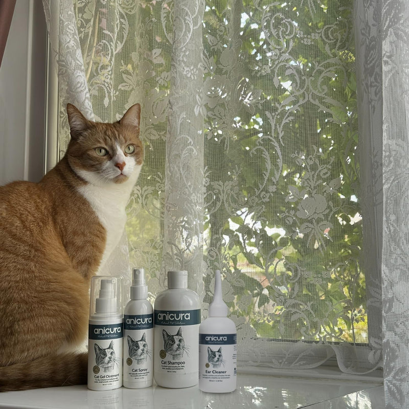 Anicura Natural Cat Ear Cleaner - Soothes & Cleans Sensitive Ears | pH-Balancing Formula Helps Reduce Wax & Odour | Easy to Use 100ml