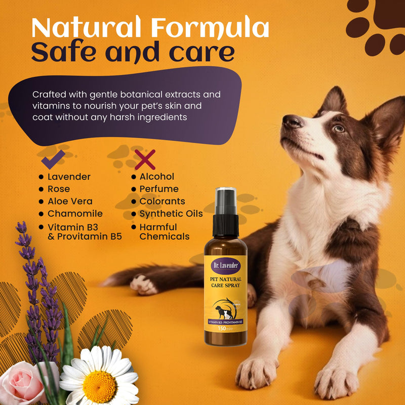 DR.LAVENDER Natural Hot Spot Treatment for Dogs & Cats - Anti Itch Spray for Skin Allergy Relief, Dryness, Redness Soothing & Wound Care - Organic Plant-Based Pet Skin Soother with Essential Oils