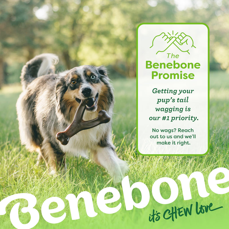 Benebone Wishbone Durable Dog Chew Toy for Aggressive Chewers, Real Bacon, Made in USA, Medium - BeesActive Australia