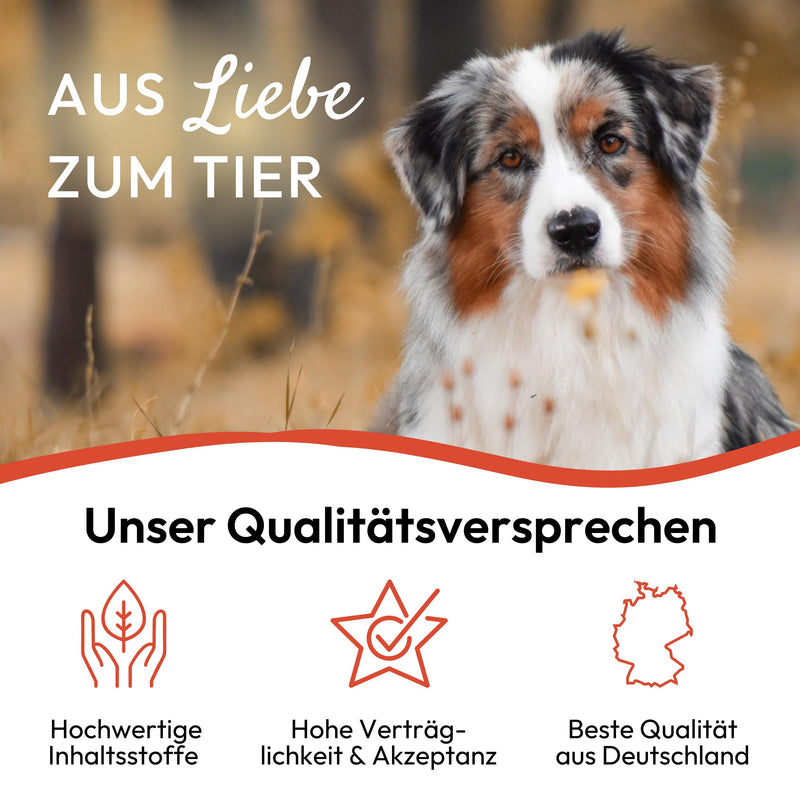 PHA Spot on drops for dogs to ward off fleas, ticks and other pests, plant biocide, 2 plastic tubes of 2 ml each - BeesActive Australia