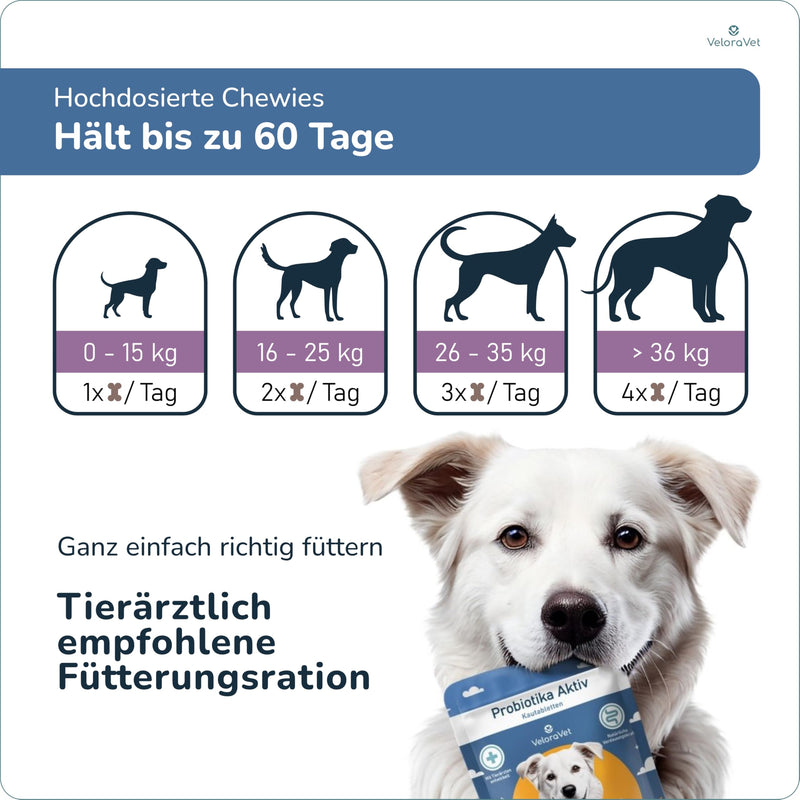 VeloraVet Probiotics Dog - stomach intestinal cleansing & intestinal treatment for dog intestinal flora, prebiotics, psyllium husks & healing clay, veterinary recommended for diarrhea, heartburn - 60 tablets full of care - BeesActive Australia