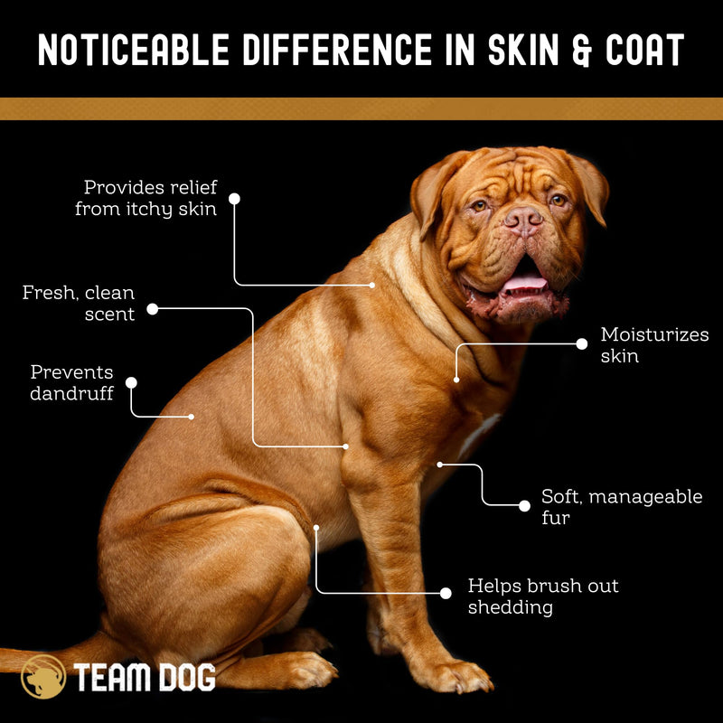 TEAM DOG 5 in 1 Oatmeal Shampoo for Dogs | Moisturizing, Detangling & Deodorizing Dog Shampoo and Conditioner | for Allergies & Sensitive Skin | No MEA/DEA, Phosphate, Sulfates, Parabens | 16 Fl Oz - PawsPlanet Australia