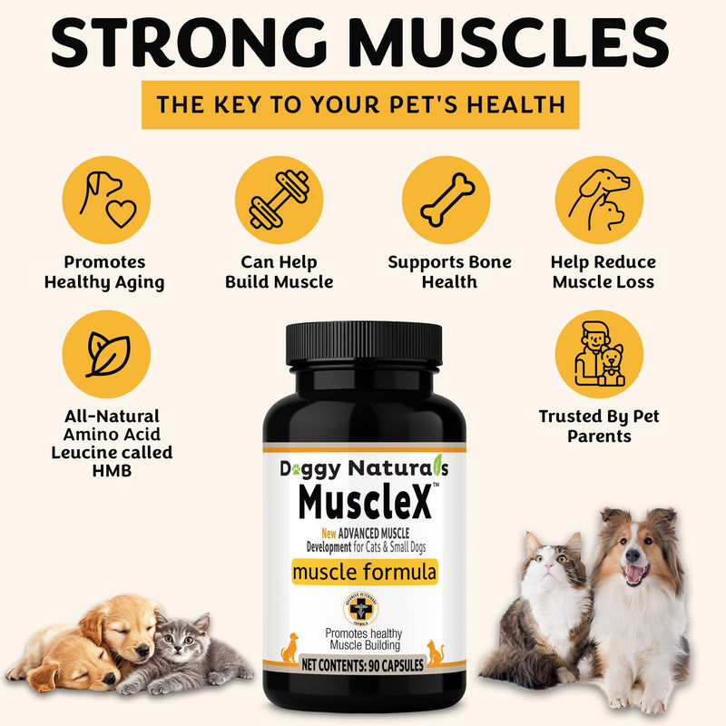 MuscleX™ Feline Canine Muscle Formula Cats & Small Dogs with 300 mg CaHMB & Vitamin D3, Natural Muscl Building formula - Helps Reduce Muscle Loss Due to Normal Aging & Improve Injury Recovery(90 Caps)