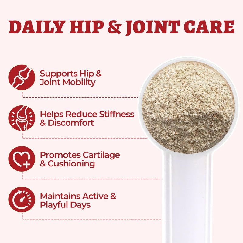 Wellix Large Hip & Joint Supplement for Dogs & Cats – Glucosamine Chondroitin MSM & Turmeric for Dogs – Dog Joint Health, Cat & Dog Arthritis Supplement, Chicken Chondroitin for Puppy & Kitten