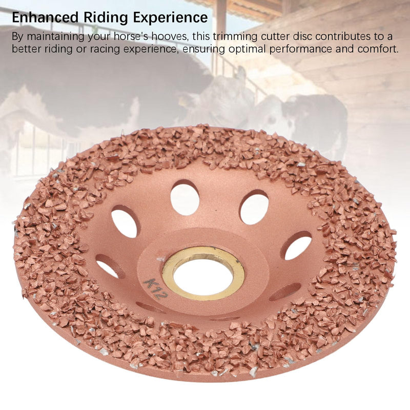 HL Q7DMP Livestock Hoof Trimming Disc, Hoof Trimming Grinding Wheel 100mm Diameter Hooves Repair Tool Hoof Trimming Cutter Disc for Cattle Horses for 100 and 125 Model