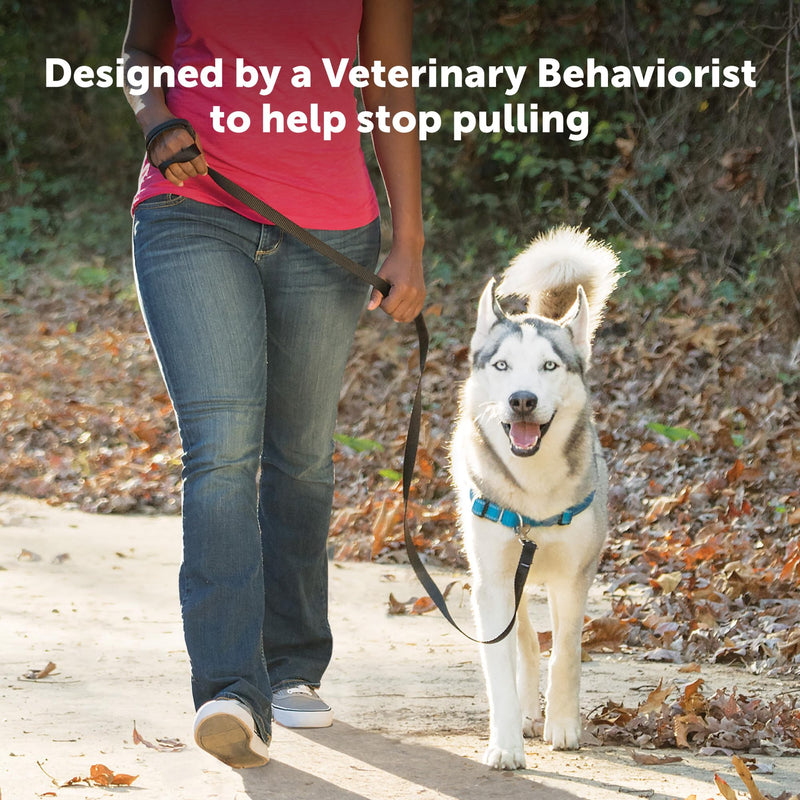 PetSafe Easy Walk Deluxe Dog Harness, No Pull Dog Harness – Perfect for Leash & Harness Training – Stops Pets from Pulling and Choking on Walks – Large, Ocean Large (Pack of 1) - BeesActive Australia