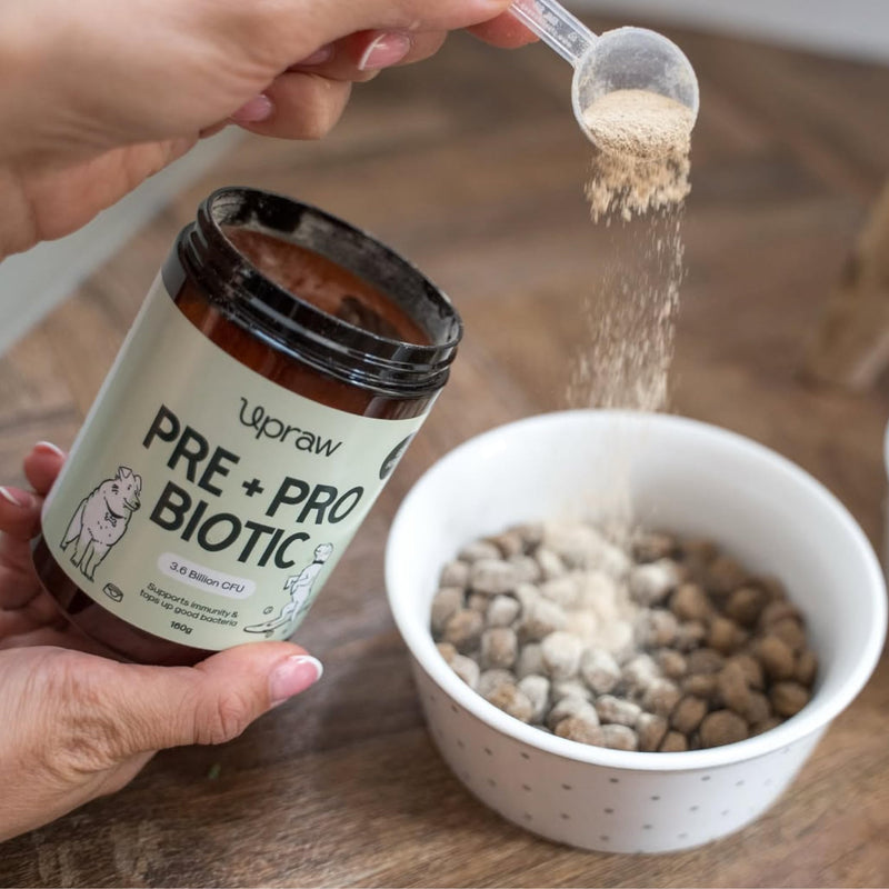 Pre and Probiotic Powder for Dogs 160g, Natural Digestive, Immune Support, Grain Free, Gut & Digestive Health, Sensitive Tums, Anal Glands & Bum Scooting, Loose Stools, Waxy, Smelly & Itchy Ears