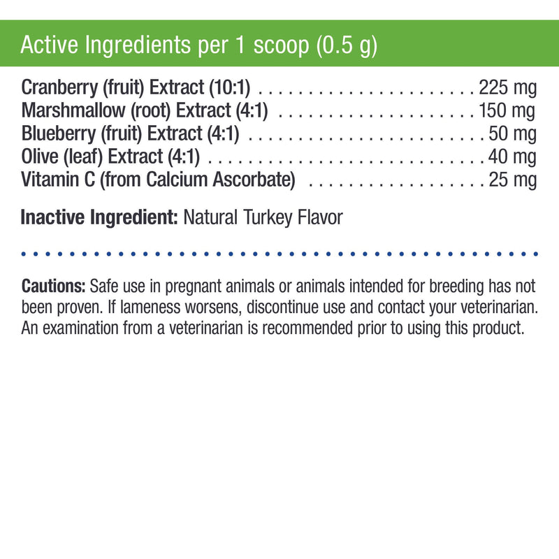Only Natural Pet Cranberry Wellness Antioxidant Powder for Dogs and Cats - Nutritional Berry Powder Supplement for Urinary Tract Health with Vitamin C - 110 Servings - BeesActive Australia
