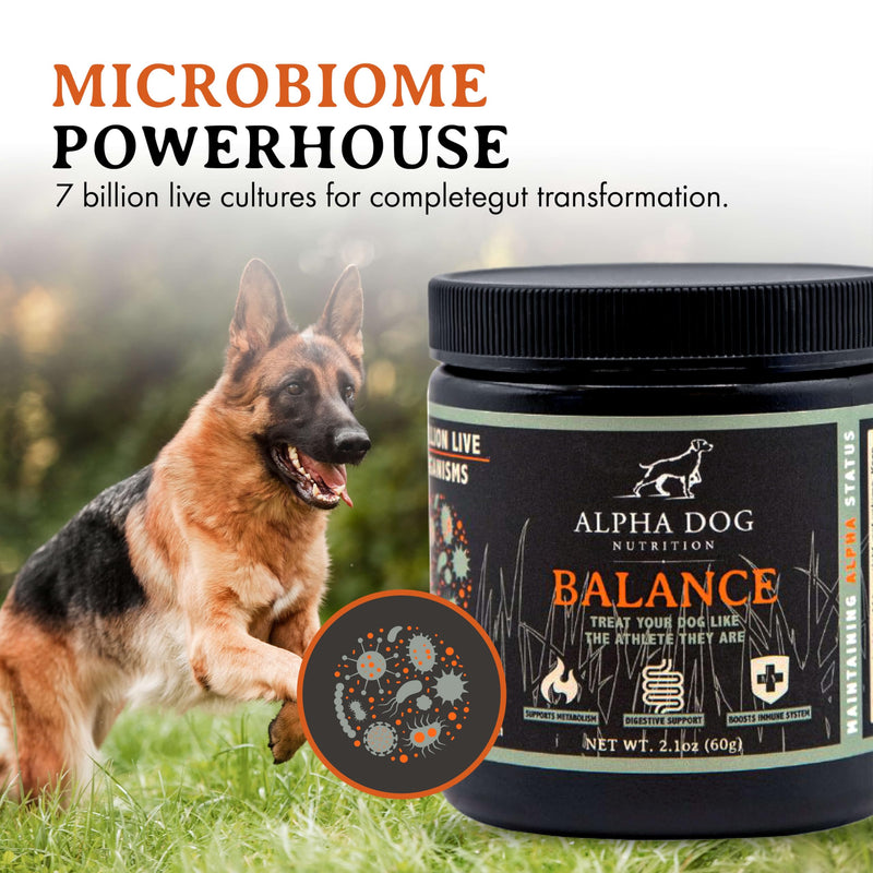 Balance Probiotic Blend for Dogs by Alpha Dog Nutrition - PawsPlanet Australia