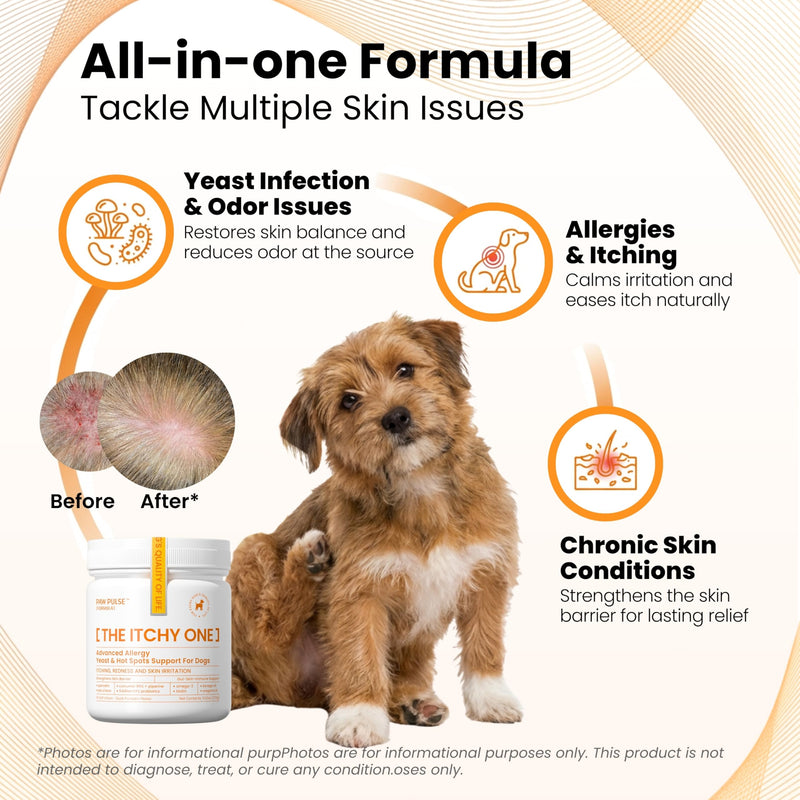 PAWPULSE FORMULA Dog Allergy Relief Chews, Itching Skin Relief for Yeast, Redness and Hotspots, Support Immune and Seasonal Allergy with Probiotics & Omega-3, 90 Chews