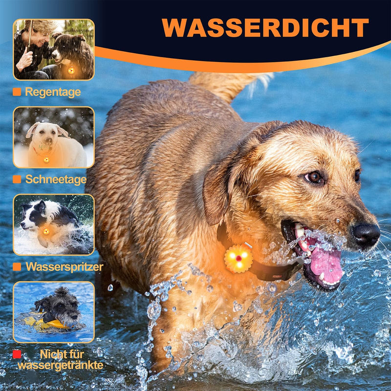 AHJ dog light, flashing light, school bag, children, safety LED flashing light for dogs - cats, USB-C rechargeable LED light, light collar dog, light for joggers - walkers - cyclists, orange - BeesActive Australia