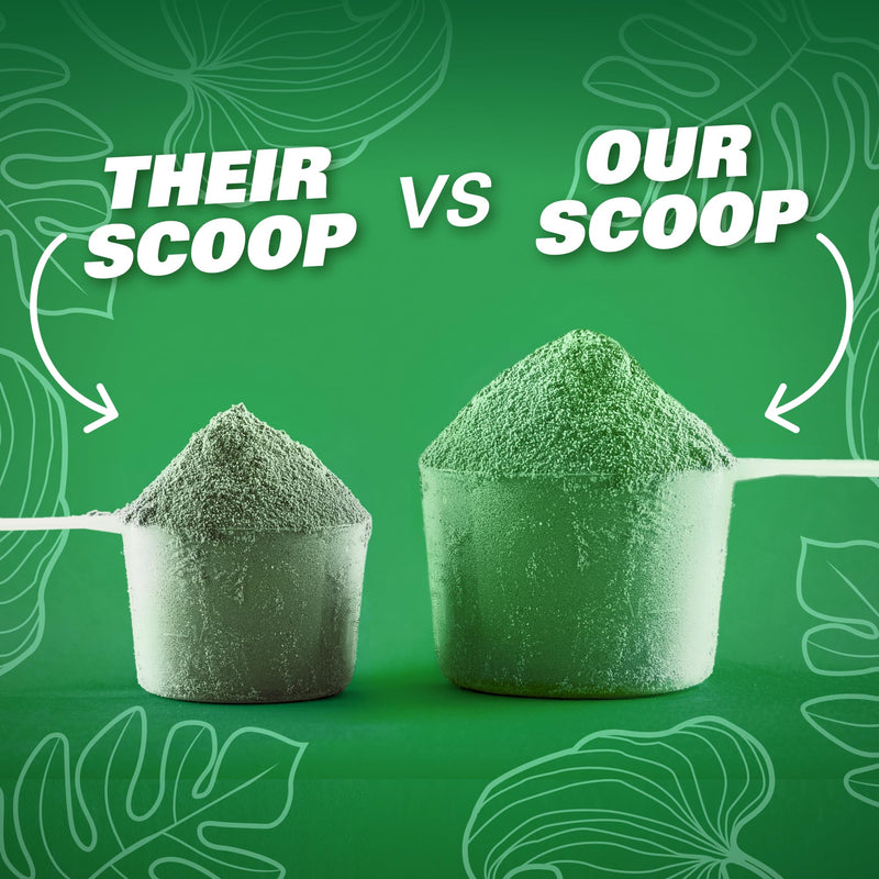 EHP Labs OxyGreens Super Greens Powder ‚Äì Daily Greens & Superfood Supplement with Spirulina, Chlorella, Prebiotics, Digestive Enzymes, Antioxidants ‚Äì 30 Servings (Forest Berries) Forest Berries 30 Servings (Pack of 1) - BeesActive Australia