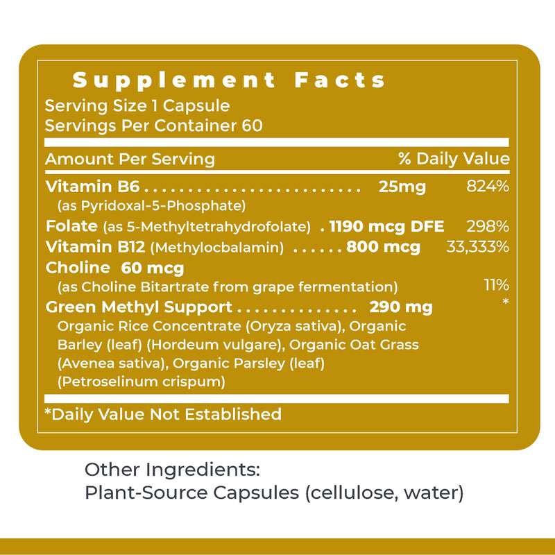 Premier Research Labs Phyto Methylate - B Vitamin Supplement - Supports Methylation, Detox, Brain & Heart Health - 5-MTHF & P5P - 60 Plant-Source Capsules