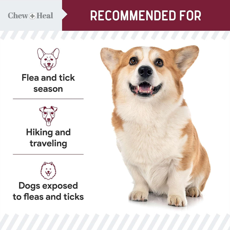 Chewable Flea and Tick Prevention for Dogs - 180 Delicious Soft Chews - Made in USA - Natural Defense for Small and Large Dogs - No Gluten, No GMO, No Corn - BeesActive Australia