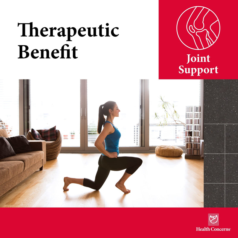 Health Concerns Mobility 2 – Joint Health Support Supplement for Men & Women – Chinese Herbal Circulation Support – Natural Joint & Muscle Aid – Herbal Extracts – 90 Capsules 90 Count (Pack of 1)