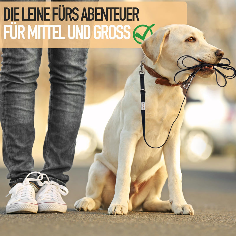ZENOXO® [3m] dog leash | Dirt & waterproof - Ideal for medium & large dogs - 4-way adjustable running leash & shoulder leash - BeesActive Australia