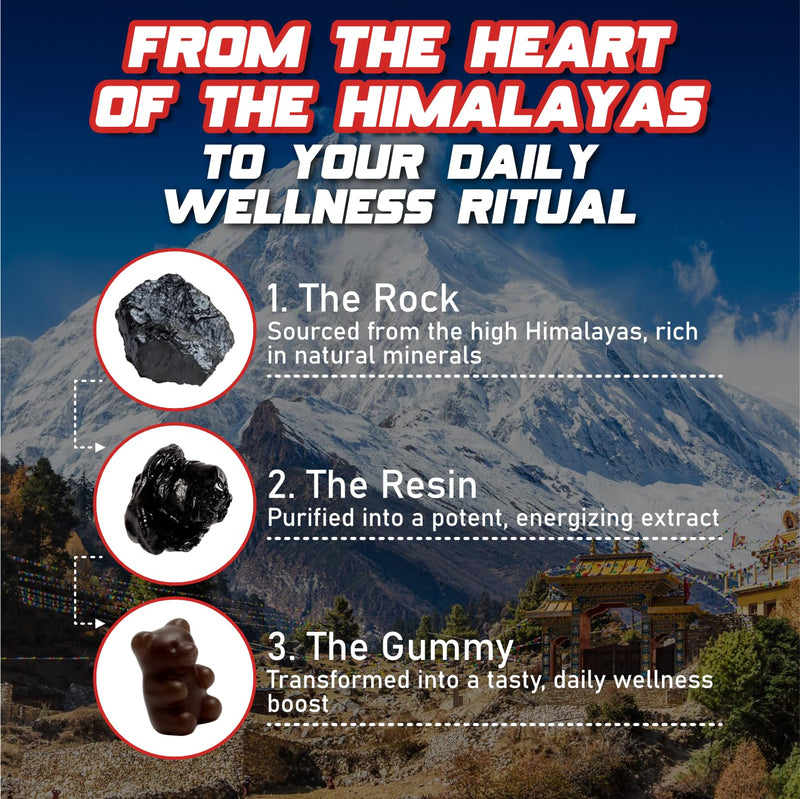 Himalayan Shilajit Gummies, No Added Sugar, Ashwagandha, Maca Root, Turmeric Extract with Vitamin C, Non-GMO, 100% Natural & Organic (60 Count, Mix Berry) 60 Count (Pack of 1)