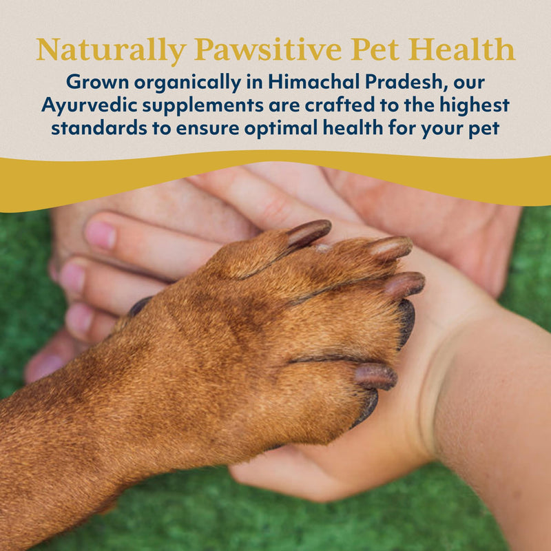 Ayush Pet Ashwagandha Capsules for Dogs & Cats - Organic Ashwagandha Root Extract for Calm and Daily Balance, Adaptogenic Wellness Supplement for Pets, 500mg Per Capsule - 120 Servings