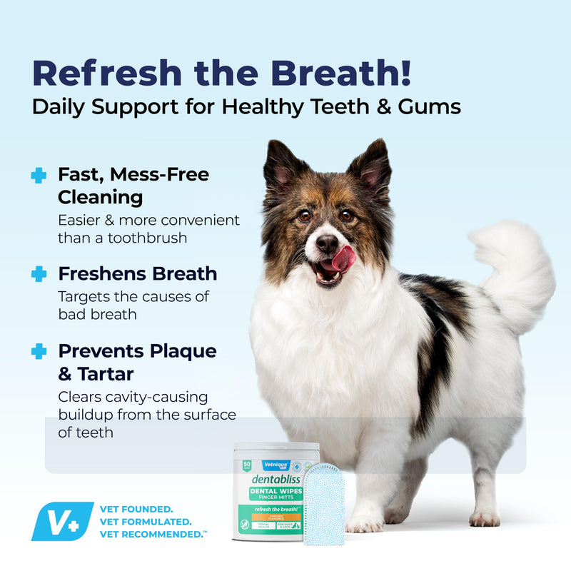 Vetnique Dentabliss - Dog Teeth Cleaning Finger Mitt Dental Wipe - Dog Plaque & Tartar Prevention with Brushing Beads - Flavored Dog Teeth Wipes, Dog Breath Freshener (Chicken) Chicken - PawsPlanet Australia