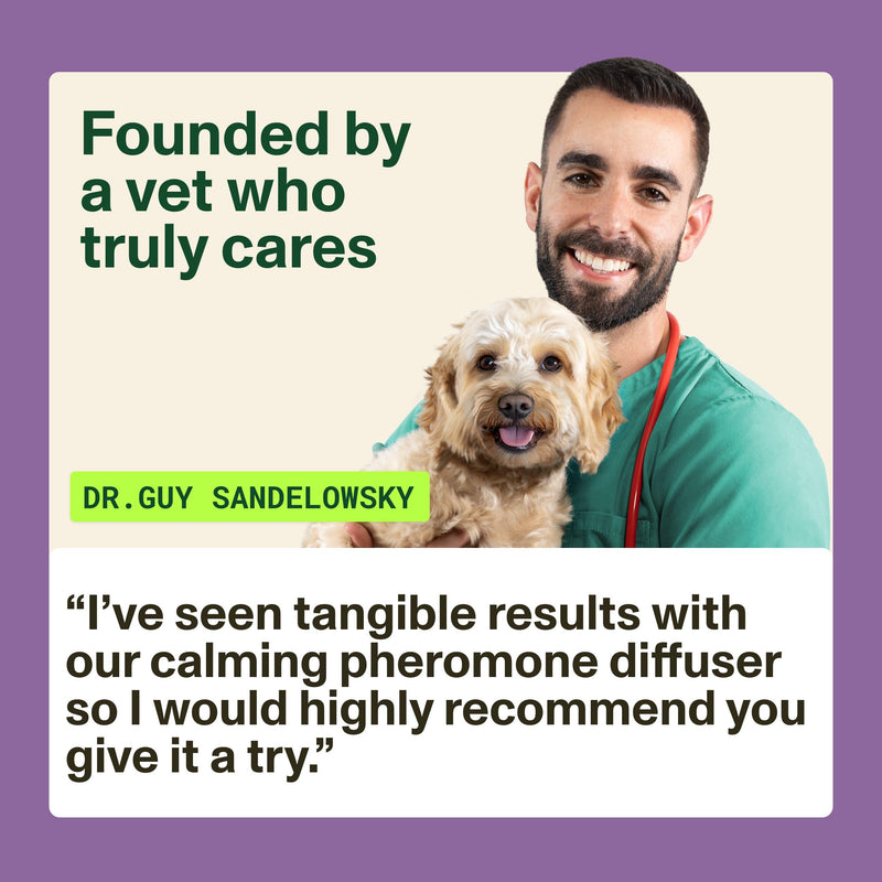 Omni Dog Calming Plug In Diffuser with Pheromones for Dogs - Inspired by Nature, Helps Calm Your Dog from Separation Anxiety, Fireworks, Travel or Tension, Covers 700 Sq Ft, Diffuser & x2 48ml Refills Calming Plug In Diffuser + 2x Refill