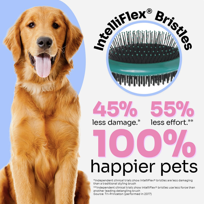 Wet Brush Ultimate Dual-Sided Detangling Brush - Ultra Soft IntelliFlex Bristles, Removes Loose Hair & Dirt for Dogs, Cats, Rabbits - Teal - BeesActive Australia