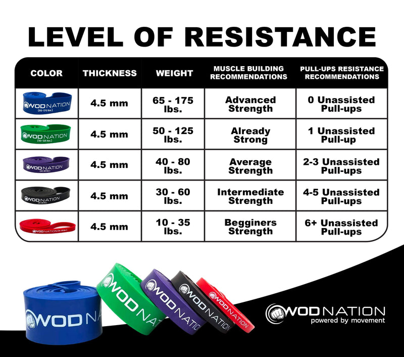 WOD Nation Pull Up Assistance Bands (10-175lbs Band) - Best for Pullup Assist, Chin Ups, Resistance Bands Exercise, Stretch, Mobility Work & Serious Fitness - 41 inch Straps Purple