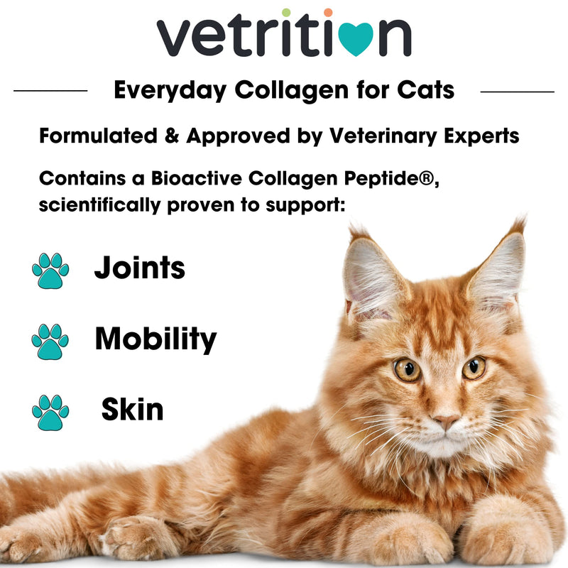 Everyday Collagen for Cats - Bioactive Cat Supplement for Hip & Joint Care - Easily Digestible Vet-Trusted Cat Collagen Powder for Mobility & Skin Health (75g Powder)