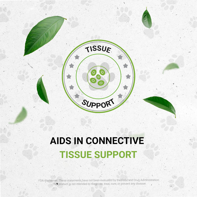 Reptilian Bones | Natural Herbal Dietary Pet Supplement for Reptiles | Support Healthy Bones | Alcohol-Free Extract, Stinging Nettle Leaf, Plantain, Dandelion Leaf, Gotu Kola, Turmeric 2 oz - PawsPlanet Australia