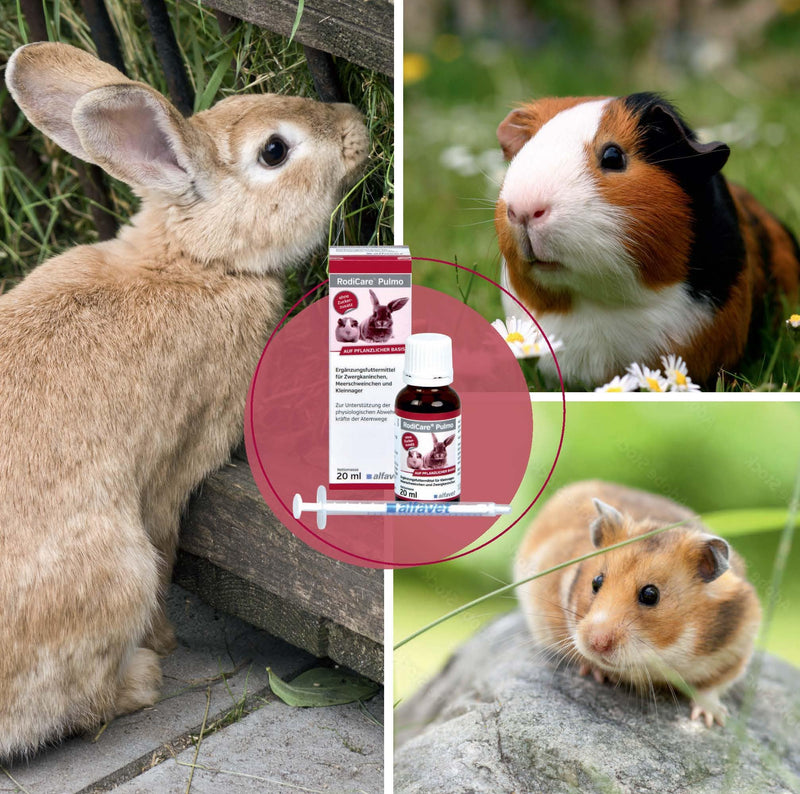 alfavet RodiCare Pulmo, double pack, to support the respiratory tract of guinea pigs and small rodents, supplementary feed, 2 x 20ml, dosing syringe 20 ml (pack of 2) - BeesActive Australia