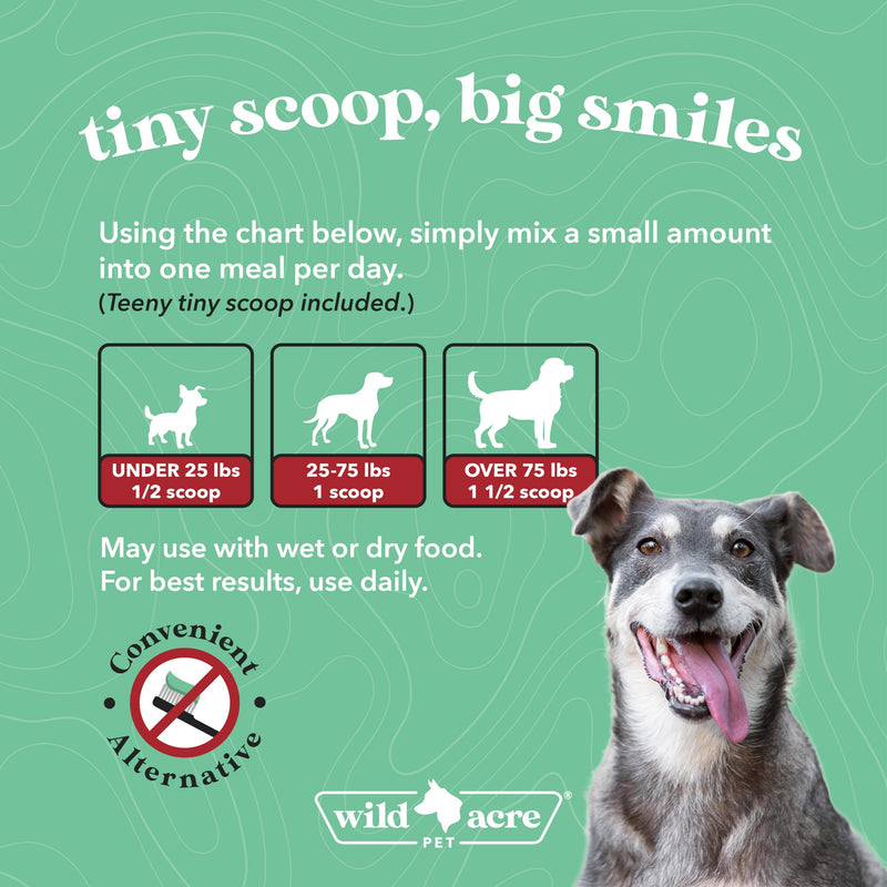 Dental Powder for Dogs - Dog Breath Freshener Dental Powder for Teeth Cleaning Plaque Off, Dental Care for Dogs, Tartar Remover for Teeth - Fresh Breath Probiotics - PawsPlanet Australia