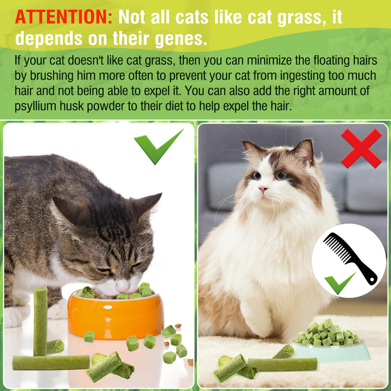 HavenJanny 50g Cat Grass Teething Stick, Freezed Drying Cat Grass Sticks Snacks for Cats, Edible Cat Treats for Teeth Cleaning and Hairball Removal - BeesActive Australia
