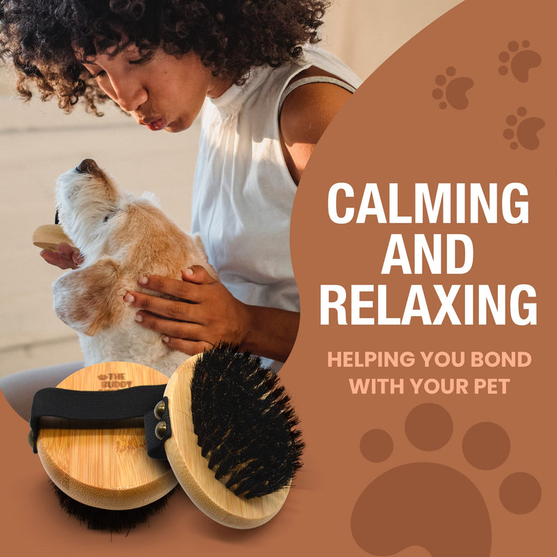 The Buddy System Pet Close Brush, Soft Touch Oval Palm Brush - Bamboo Massage Handheld with Soft Boar Bristles and Elastic Band for Dogs and Cats 1-pack Oval Brush - BeesActive Australia