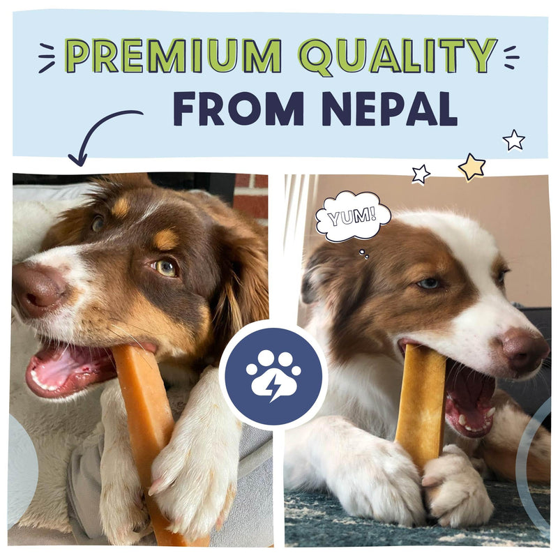 Pawstruck Large Himalayan Yak Dog Chew (6-7 oz) - Natural Yak & Cow Milk Cheese Long-Lasting Treat for Dog Chew Stick - 1 Count - Packaging May Vary (Pack of 2) 6-7 Ounce (Pack of 2)