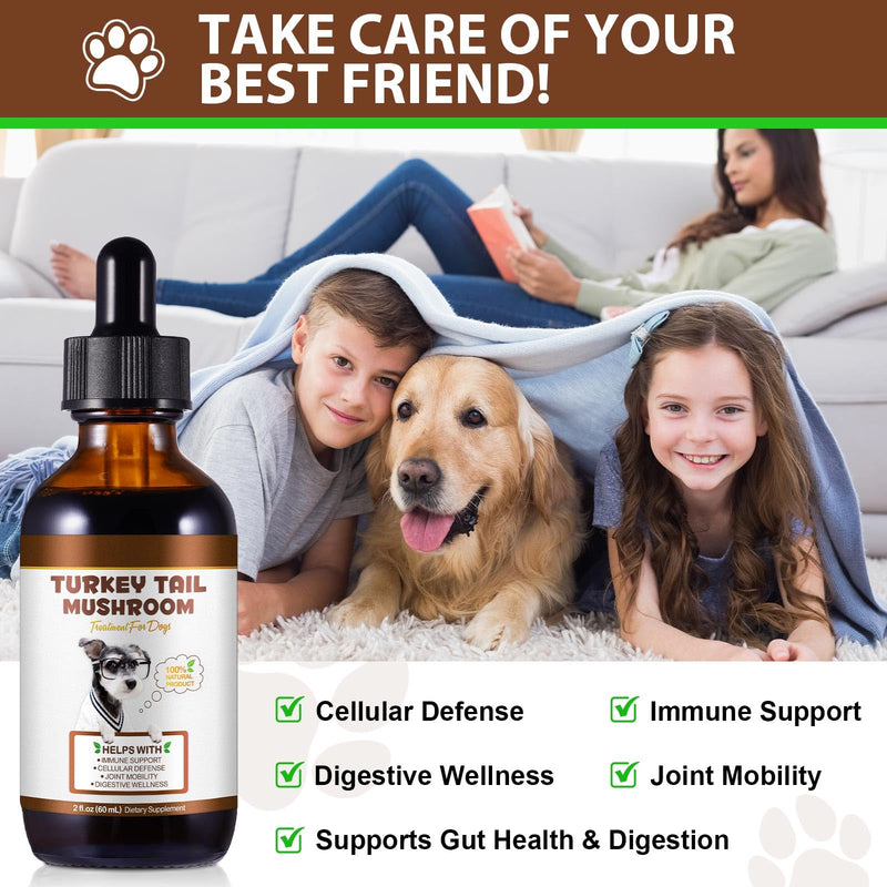 Turkey Tail Mushroom & Turmeric Liquid Drops for Dogs - Natural Bacon Flavour with Probiotics - 60ml