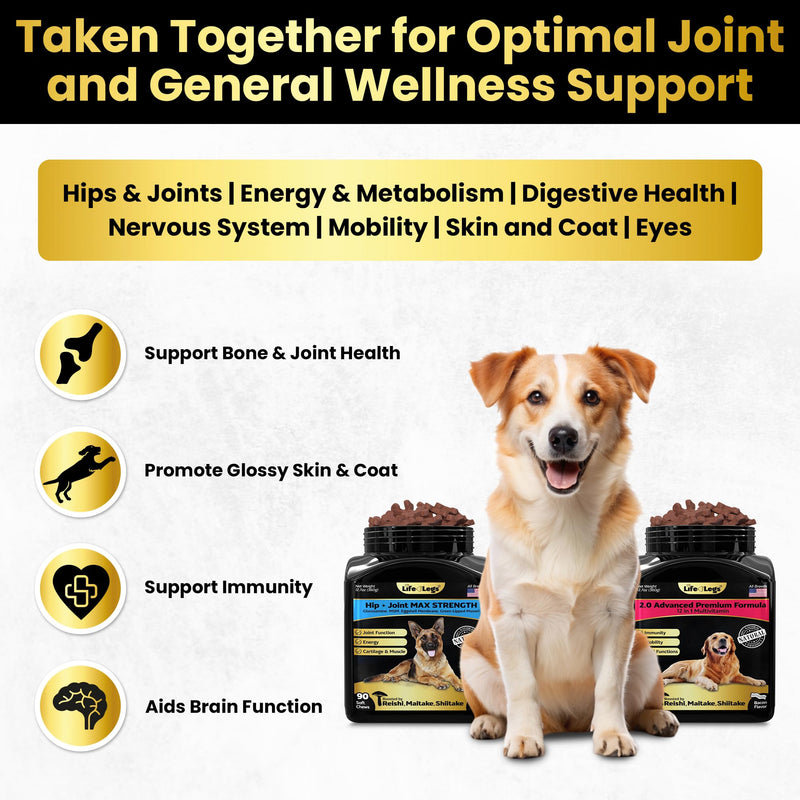 Hip and Joint Supplement and 23-in-1 Multivitamin Chews Bundle for Small, Medium and Large Dogs - 180 Count