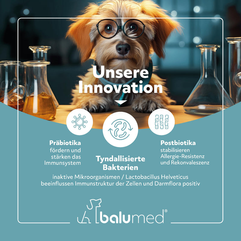 balumed® snacks bones and joints highly concentrated with green-lipped mussel for dogs, treats with prebiotics, postbiotics, brewer's yeast, devil's claw, chondroitin & collagen, vitamins E + B, 325 g - BeesActive Australia