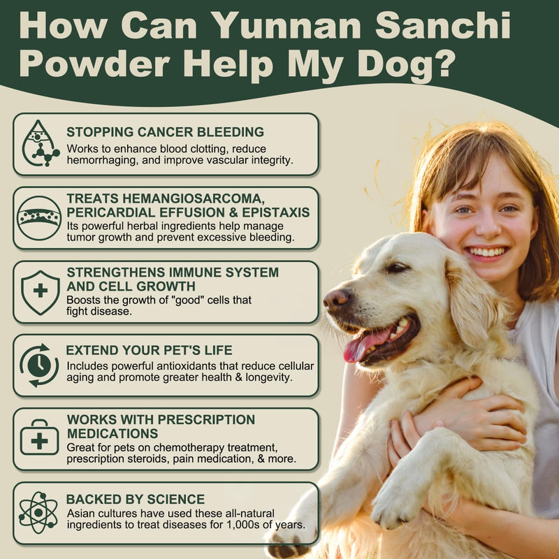 Yunnan Sanqi Powder for Hemangiosarcoma and Immune Support in Dogs, High in PSP & Beta Glucans, 8 Critical Mushrooms for Holistic Defense, Supports Cancer-Related Bleeding, Hemoabdomen, 3.5 oz