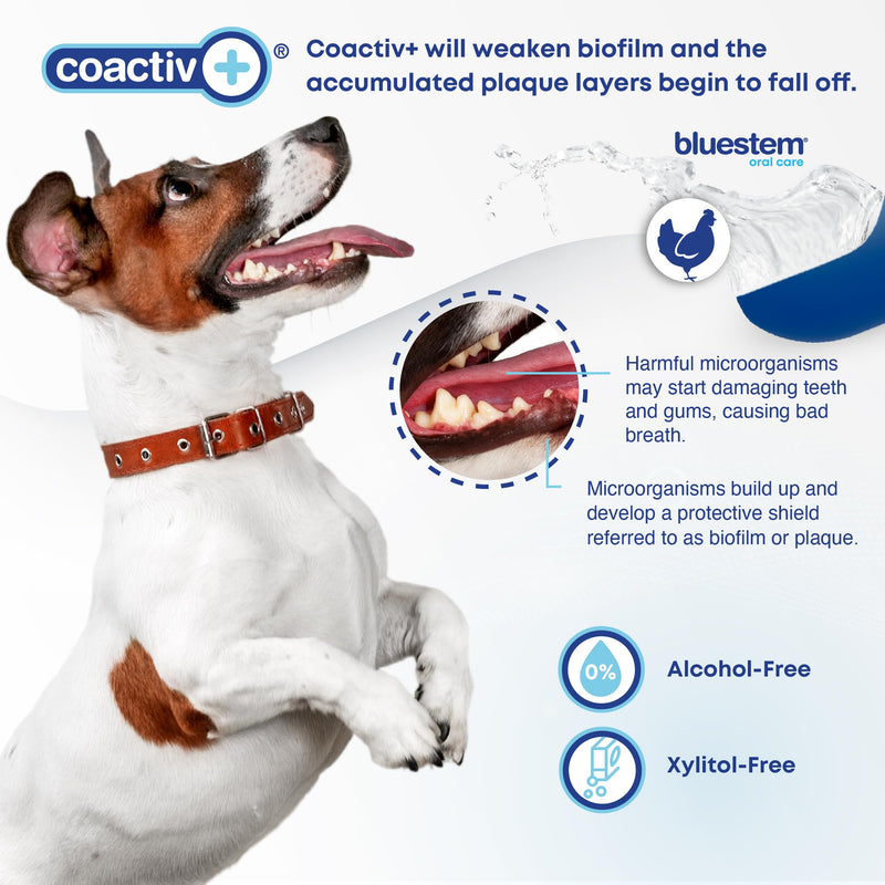 bluestem Freshens Dog and Cat Breath - Safe and Effective Dental Water Additive - 17 Ounce - Chicken