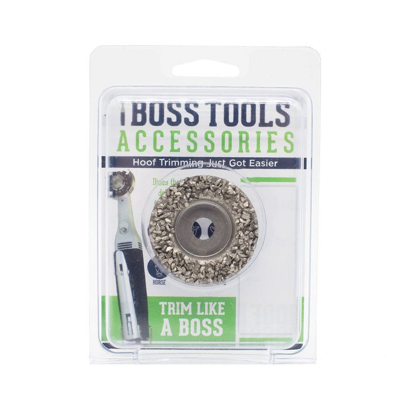 Silver Coarse Grit 2" Disc