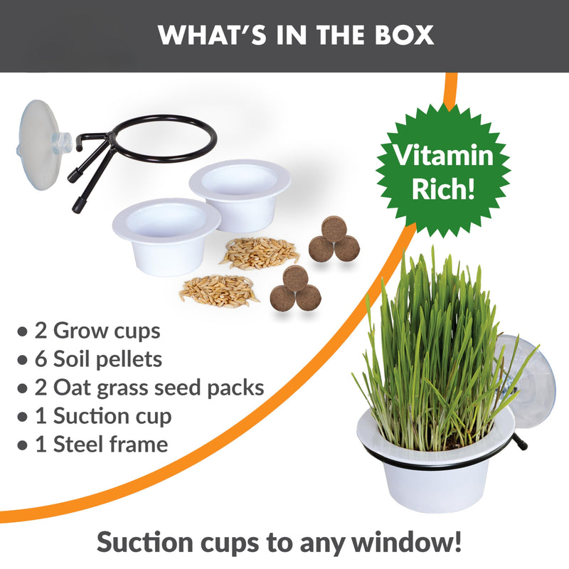 K&H Pet Products EZ Mount Grow Station Cat Grass for Indoor Cats, Healthy Home Grown Oat Grass Kit Mounts to Windows, Pairs Purr-fectly with Window Perches, Farmed in USA Non-GMO - 1 Refill Included - PawsPlanet Australia