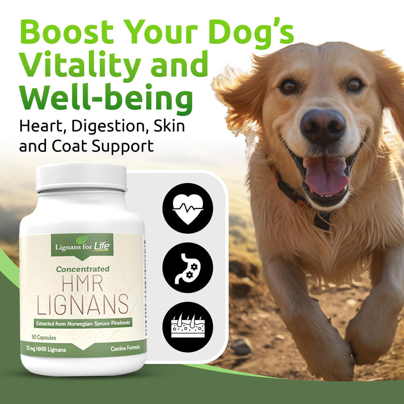 Lignans For Life HMR LIGNANS 10mg Capsules - Perfect for Small Dog Breeds - Vitamin for Healthy Pet | Multivitamin | Wellness Supplement | Nutritional 10mg, 90 Capsules
