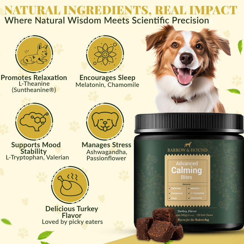 Barrow & Hound – Advanced Calming Chews for Dogs – 120 Soft Chews with Chamomile, Valerian Root, L-Theanine & Melatonin – Turkey Flavor – Supports Relaxation & Composure