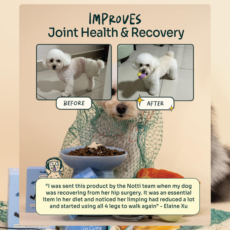 Notti Hip & Joint Supplement for Dogs & Cats – Glucosamine, Chondroitin, MSM, Green Lipped Mussel, Norwegian Salmon Oil (Omega-3 EPA DHA), Collagen & Hyaluronic Acid – Mobility, Cartilage & Joint