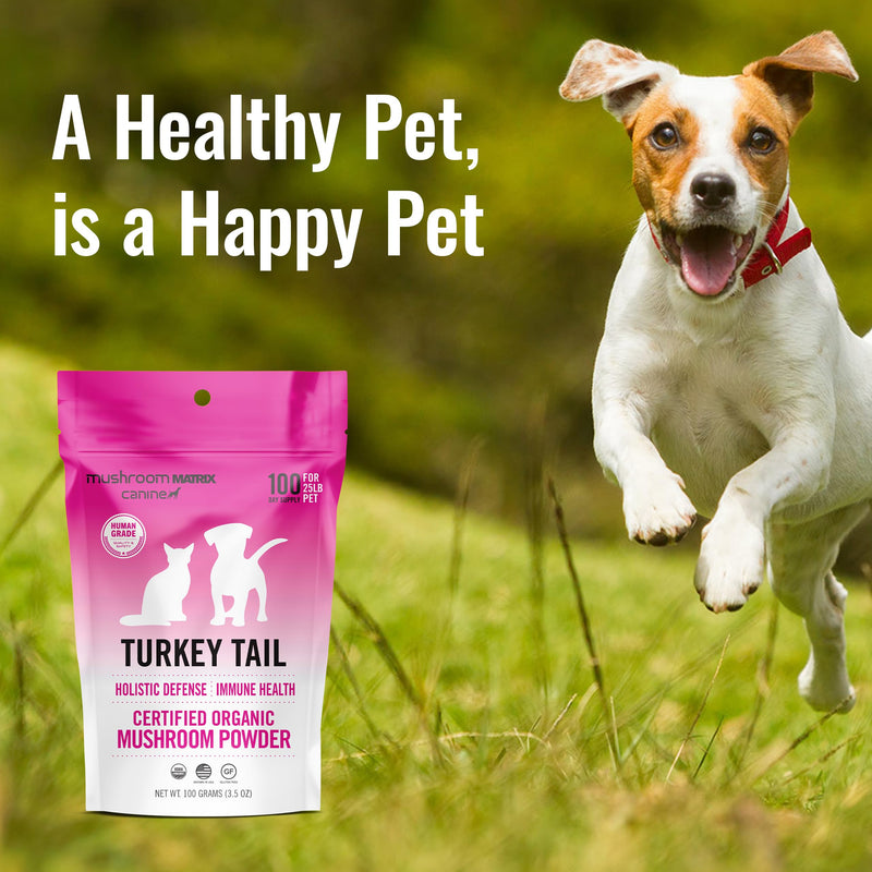 Om Mushroom Matrix Pet - Canine | Turkey Tail | USA Grown Human-Grade Organic Mushroom Powder Pet Supplement | Immunity Support & Holistic Defense for Dogs & Cats | 100 Grams, 3.5 oz - PawsPlanet Australia