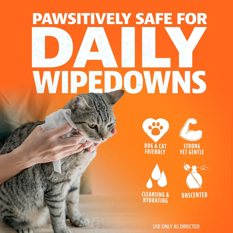 ANGRY ORANGE Pet Wipes for Dogs and Cats - Unscented and Gentle - 80 Count - 1 Pack - BeesActive Australia