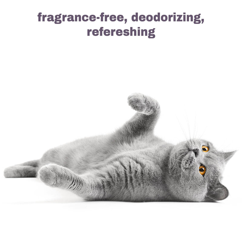 Soothing Hypoallergenic Cat Shampoo – Easy at-home Cat Grooming | Deodorizes | Gentle & Anti-itch | Natural & Allergy-safe Cat Shampoo Sensitive Skin – Fragrance Free | 9 fl oz - BeesActive Australia