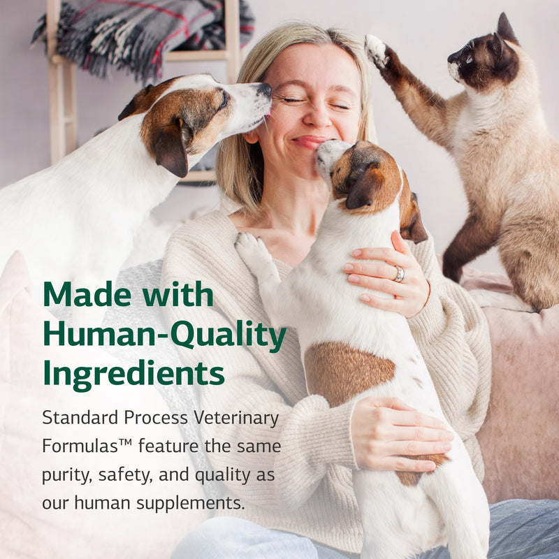 Standard Process Mushroom Complex for Dogs & Cats - Immune Support Supplement with Bovine Colostrum - Lion's Mane Extract Powder for Dog & Cat Immune Support - Essential Aid for Pet Health - 2.92 oz - PawsPlanet Australia