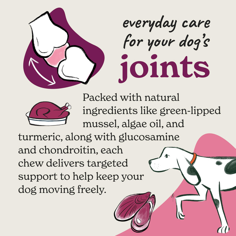 Forthglade Dog Treats, Joint Supplements for Dogs, 300g, Supports Everyday Mobility, Glucosamine & Chondroitin with Green Lipped Mussel, Algae Oil & Turmeric, Natural & Grain Free