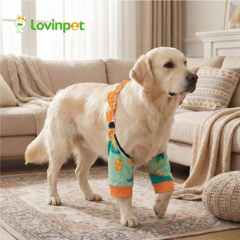 LovinPet Front Leg Sleeves for Medium and Large Dogs, 4-Way Stretch Elbow Protection, Anti-Lick Recovery, Warmth and Callus Prevention, Pair, Dinosaur Print, Orange Green,XXL Green Orange XX-Large