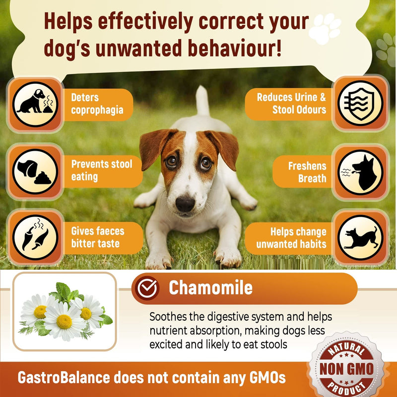 dog coprophagia relief – 100% natural ingredients coprophagia deterrent for dogs – 60 coprophagia soft chews to stop stool eating (Chicken) Chicken